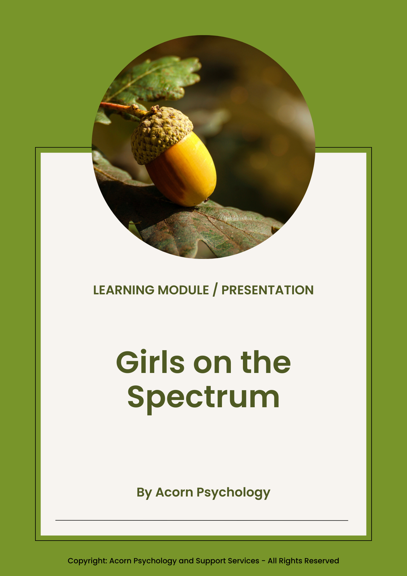 looked after children learning presentation