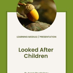 Looked After Children