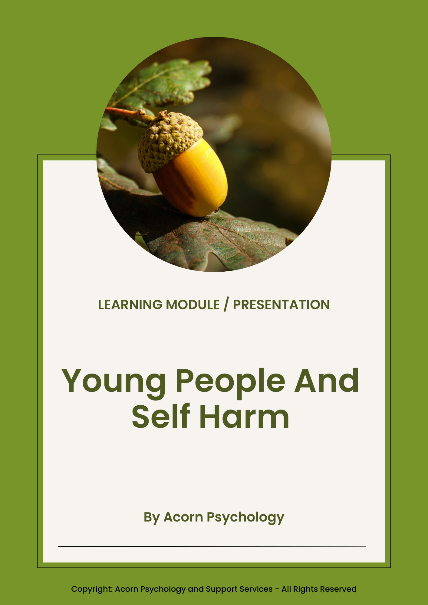 Self Harm Awareness- Learning Presentation